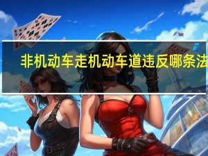 非机动车走机动车道违反哪条法律
