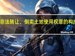 非法转让、倒卖土地使用权罪的构成要件