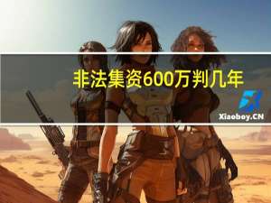 非法集资600万判几年