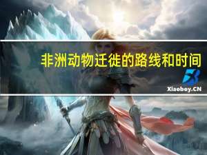 非洲动物迁徙的路线和时间