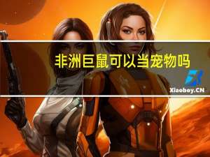 非洲巨鼠可以当宠物吗