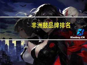 非洲鼓品牌排名