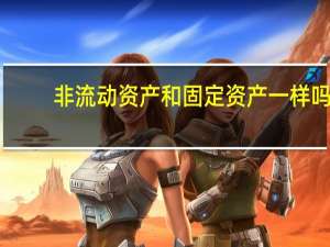 非流动资产和固定资产一样吗（非流动资产）