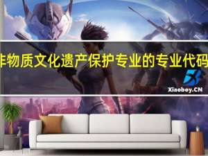 非物质文化遗产保护专业的专业代码是什么