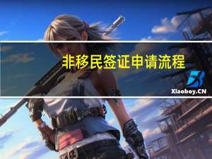 非移民签证申请流程
