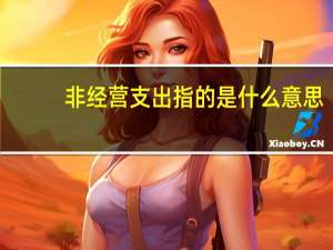 非经营支出指的是什么意思