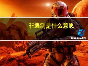 非编制是什么意思