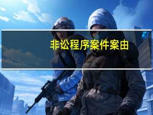 非讼程序案件案由