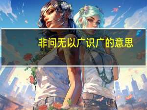 非问无以广识广的意思