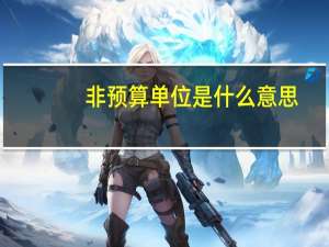 非预算单位是什么意思