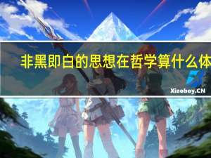 非黑即白的思想在哲学算什么体系
