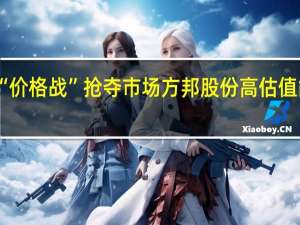 靠“价格战”抢夺市场 方邦股份高估值能否持续