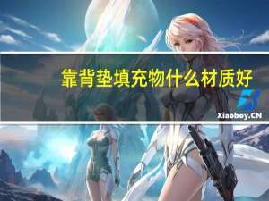 靠背垫填充物什么材质好