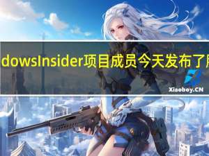 面向Dev频道的WindowsInsider项目成员今天发布了服务渠道更新KB5016322