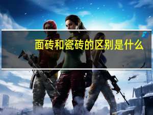面砖和瓷砖的区别是什么