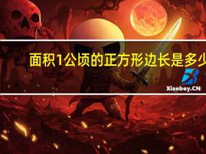 面积1公顷的正方形边长是多少_
