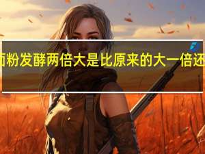 面粉发酵两倍大是比原来的大一倍还是两倍
