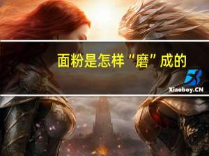面粉是怎样“磨”成的