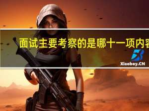 面试主要考察的是哪十一项内容