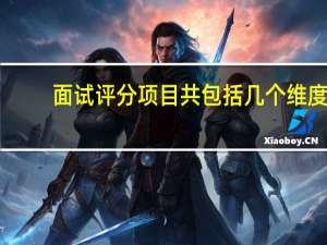 面试评分项目共包括几个维度