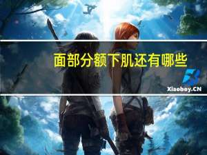 面部分额下肌还有哪些，人的面部分为几部分分别是什么