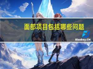 面部项目包括哪些问题(SPA包含什么项目)