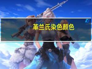 革兰氏染色颜色