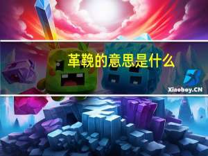 革鞔的意思是什么