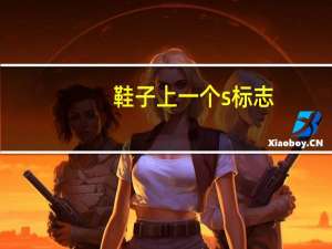 鞋子上一个s标志，是什么品牌运动鞋