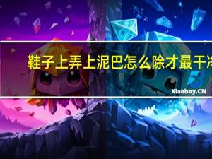 鞋子上弄上泥巴怎么除才最干净