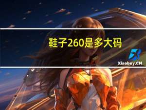 鞋子260是多大码
