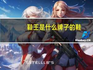 鞋王是什么牌子的鞋