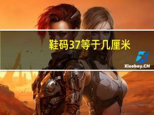 鞋码37等于几厘米