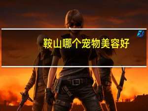 鞍山哪个宠物美容好