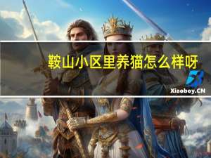 鞍山小区里养猫怎么样呀