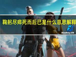 鞠躬尽瘁死而后已是什么意思解释一下（鞠躬尽瘁死而后已是什么意思）
