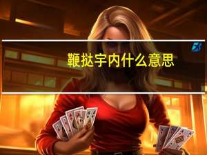 鞭挞宇内什么意思