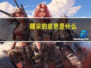 鞲采的意思是什么