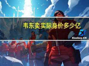 韦东奕实际身价多少亿