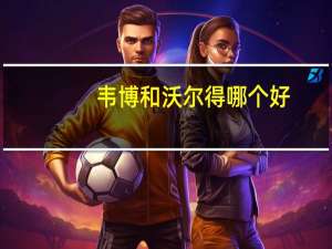 韦博和沃尔得哪个好