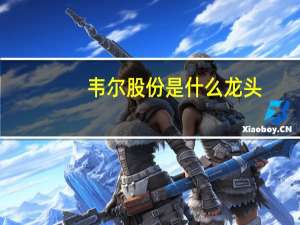 韦尔股份是什么龙头