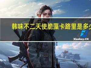 韩味 不二天使脆藻卡路里是多少