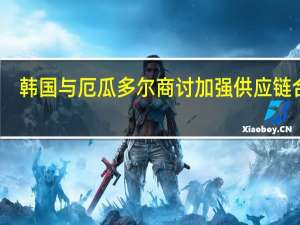 韩国与厄瓜多尔商讨加强供应链合作