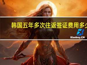 韩国五年多次往返签证费用多少(五年多次往返韩国签证多少钱)