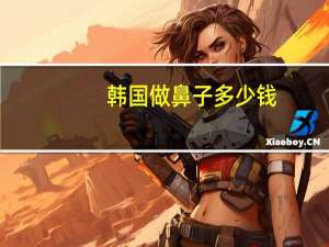 韩国做鼻子多少钱(韩国人的鼻子怎么那么漂亮)