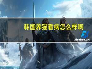 韩国养猫看病怎么样啊