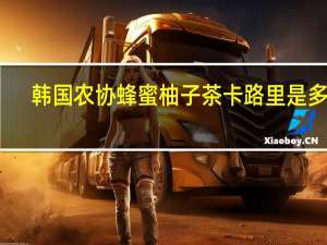 韩国农协 蜂蜜柚子茶卡路里是多少