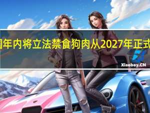 韩国年内将立法禁食狗肉从2027年正式开始实施