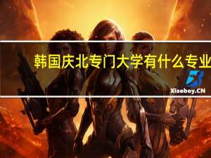 韩国庆北专门大学有什么专业