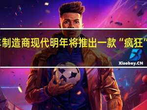 韩国汽车制造商现代明年将推出一款“疯狂”的运动型汽车
